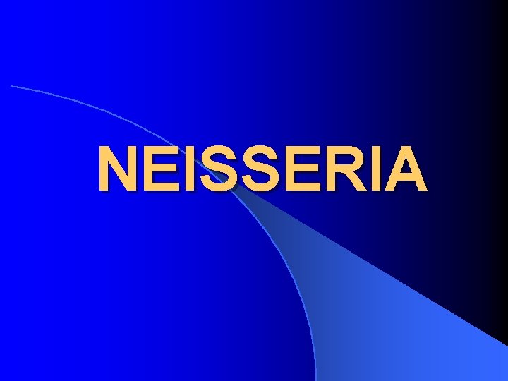 NEISSERIA 