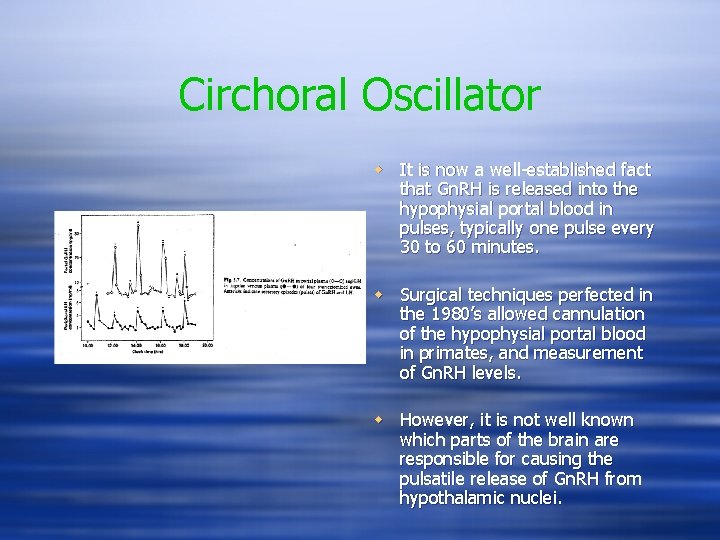 Circhoral Oscillator w It is now a well-established fact that Gn. RH is released