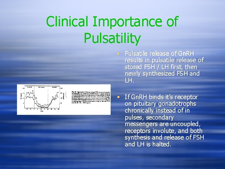 Clinical Importance of Pulsatility w Pulsatile release of Gn. RH results in pulsatile release