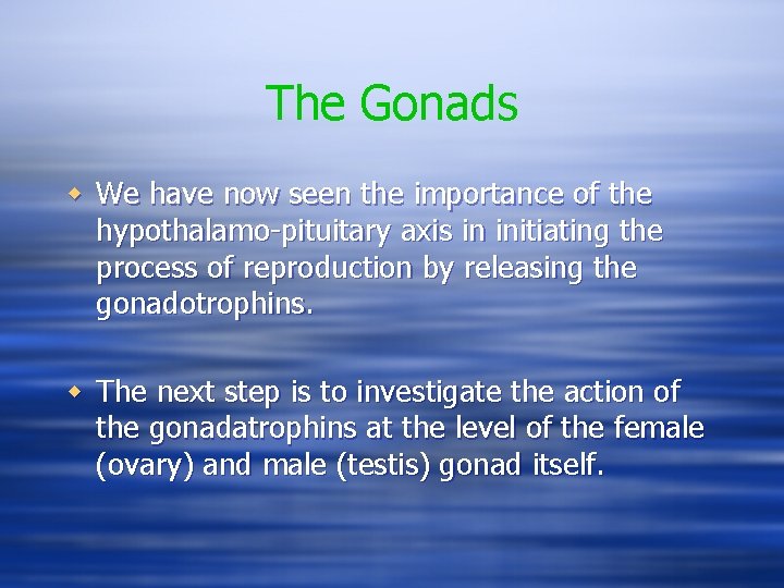 The Gonads w We have now seen the importance of the hypothalamo-pituitary axis in