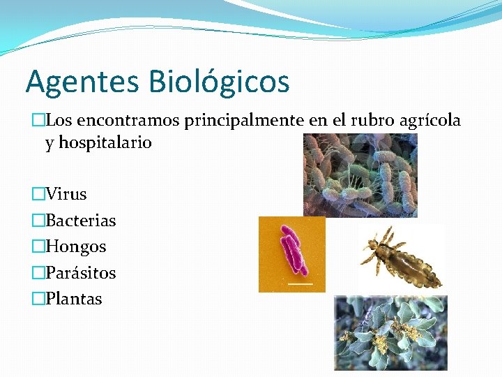 Agentes Biológicos �Los encontramos principalmente en el rubro agrícola y hospitalario �Virus �Bacterias �Hongos