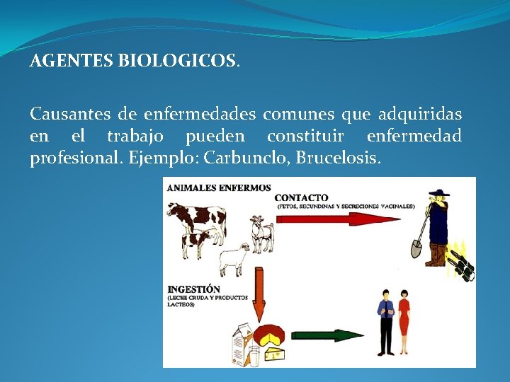 AGENTES BIOLOGICOS. Causantes de enfermedades comunes que adquiridas en el trabajo pueden constituir enfermedad