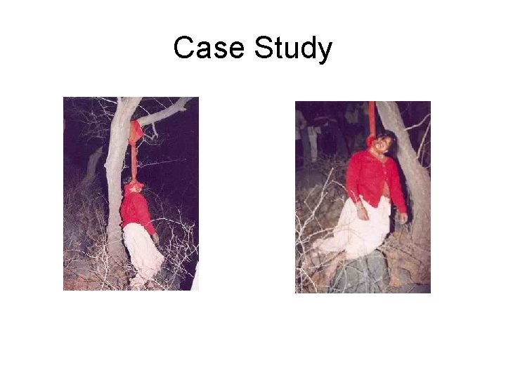 Case Study Case Study