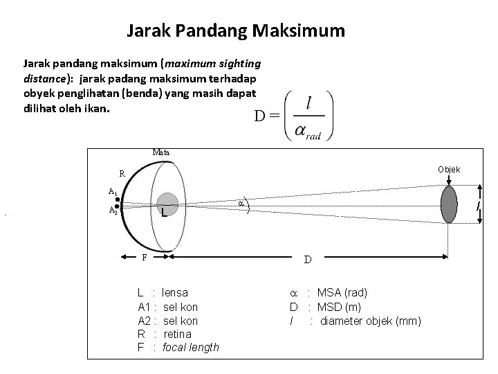 Jarak Pandang Maksimum Jarak pandang maksimum (maximum sighting distance): jarak padang maksimum terhadap obyek