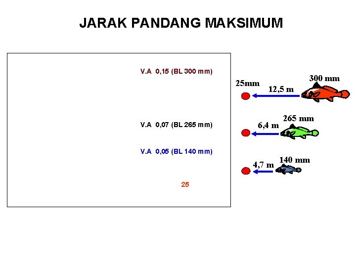 JARAK PANDANG MAKSIMUM V. A 0, 15 (BL 300 mm) 25 mm V. A