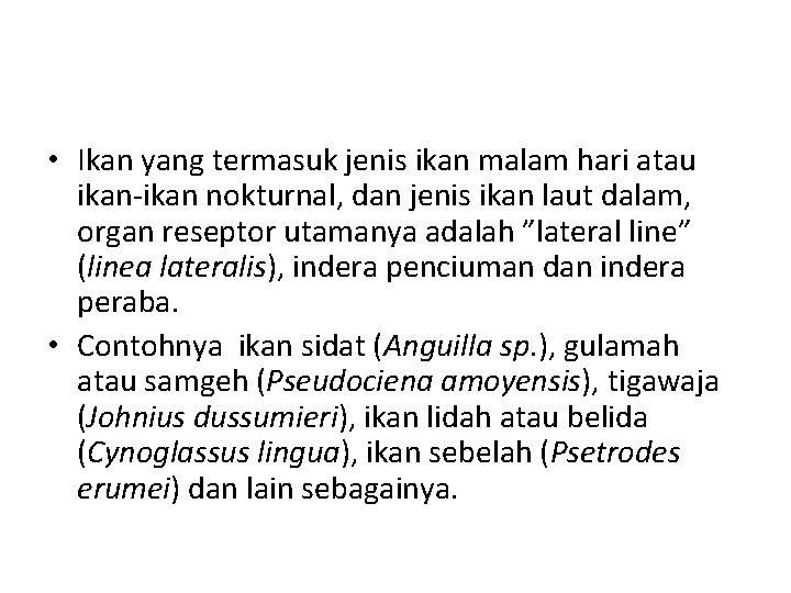  • Ikan yang termasuk jenis ikan malam hari atau ikan-ikan nokturnal, dan jenis