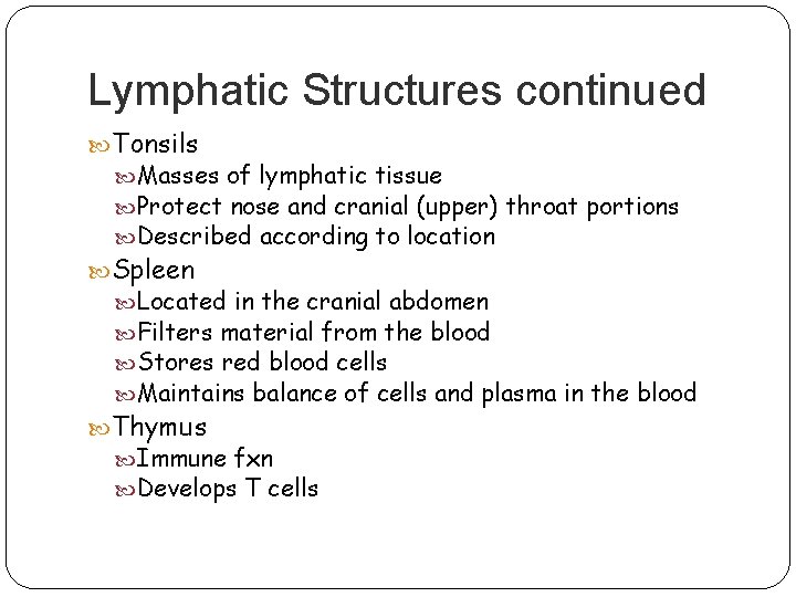 Lymphatic Structures continued Tonsils Masses of lymphatic tissue Protect nose and cranial (upper) throat