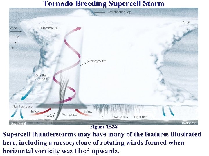 Tornado Breeding Supercell Storm Figure 15. 38 Supercell thunderstorms may have many of the Tornado Breeding Supercell Storm Figure 15. 38 Supercell thunderstorms may have many of the