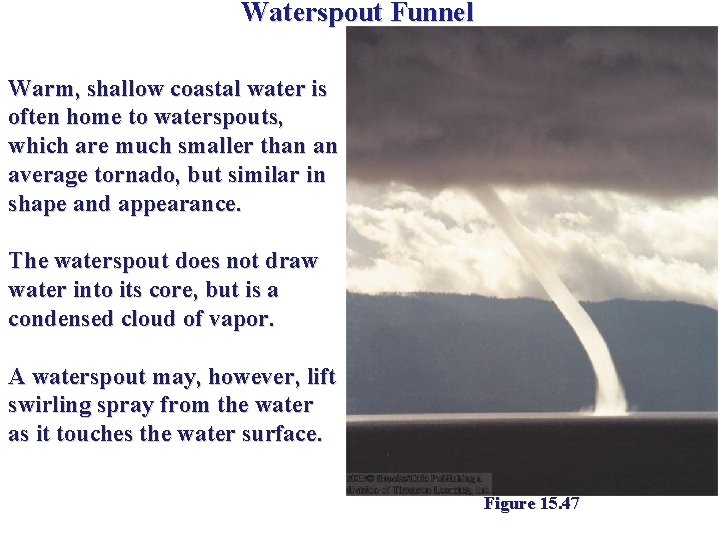 Waterspout Funnel Warm, shallow coastal water is often home to waterspouts, which are much Waterspout Funnel Warm, shallow coastal water is often home to waterspouts, which are much
