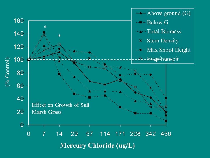 * * Effect on Growth of Salt Marsh Grass 