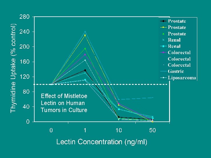 Effect of Mistletoe Lectin on Human Tumors in Culture 