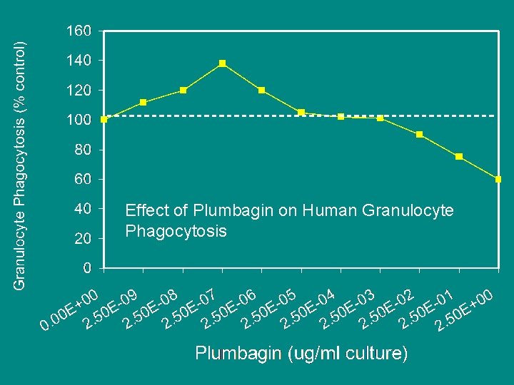 Effect of Plumbagin on Human Granulocyte Phagocytosis 