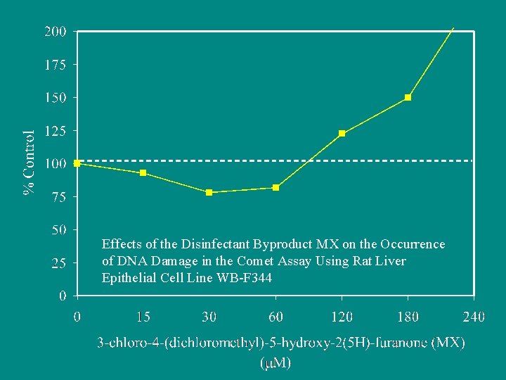 Effects of the Disinfectant Byproduct MX on the Occurrence of DNA Damage in the