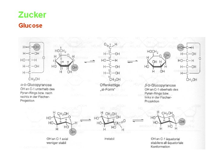 Zucker Glucose 