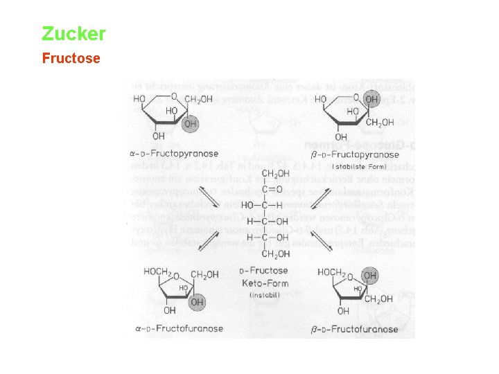 Zucker Fructose 