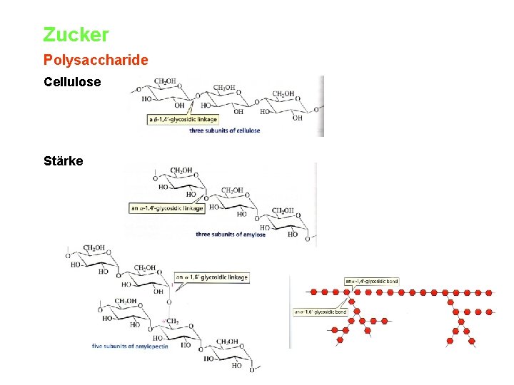 Zucker Polysaccharide Cellulose Stärke 