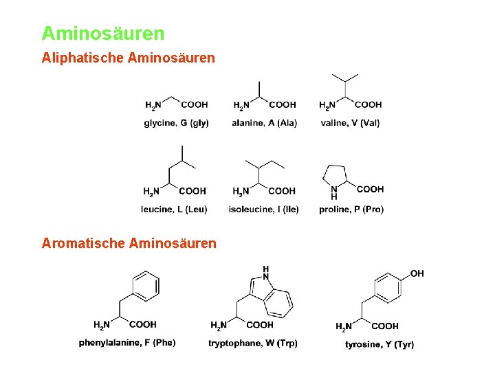 Aminosäuren Aliphatische Aminosäuren Aromatische Aminosäuren 