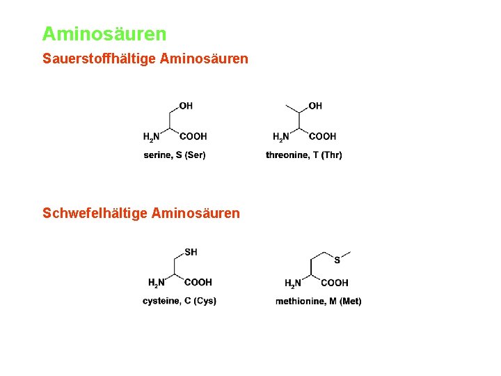 Aminosäuren Sauerstoffhältige Aminosäuren Schwefelhältige Aminosäuren 