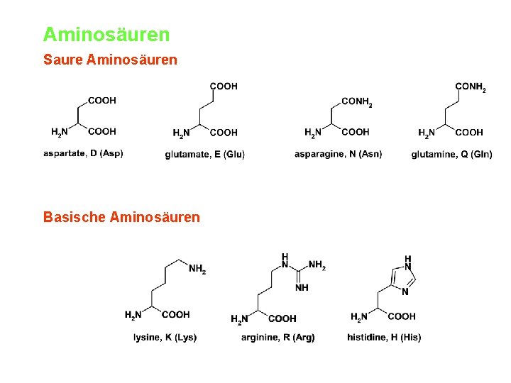 Aminosäuren Saure Aminosäuren Basische Aminosäuren 