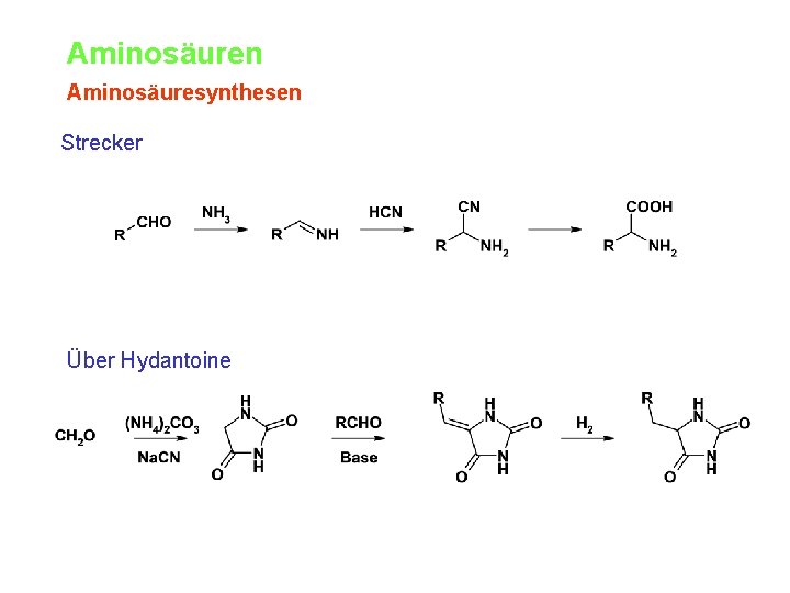 Aminosäuren Aminosäuresynthesen Strecker Über Hydantoine 