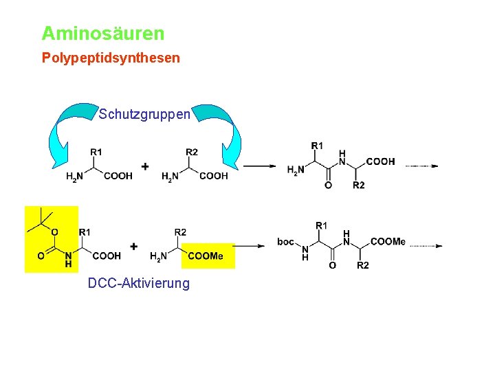 Aminosäuren Polypeptidsynthesen Schutzgruppen DCC-Aktivierung 