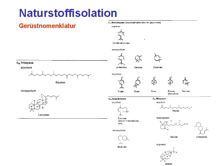 Naturstoffisolation Gerüstnomenklatur 