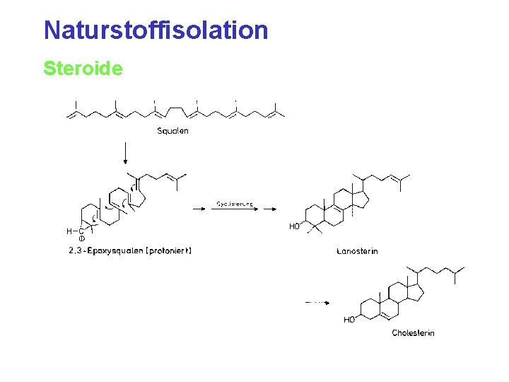 Naturstoffisolation Steroide 