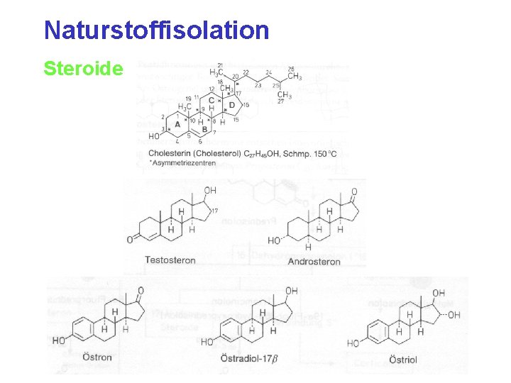 Naturstoffisolation Steroide 