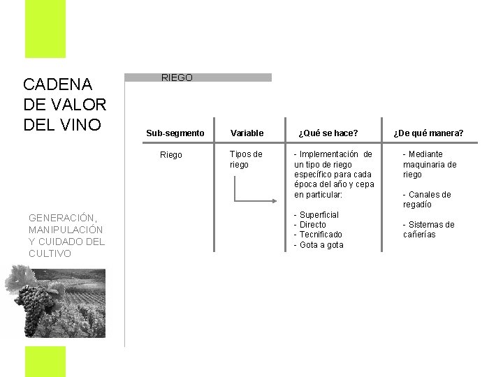 CADENA DE VALOR DEL VINO RIEGO Sub-segmento Riego GENERACIÓN, MANIPULACIÓN Y CUIDADO DEL CULTIVO