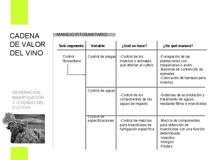 CADENA DE VALOR DEL VINO MANEJO FITOSANITARIO Sub-segmento Control fitosanitario GENERACIÓN, MANIPULACIÓN Y CUIDADO