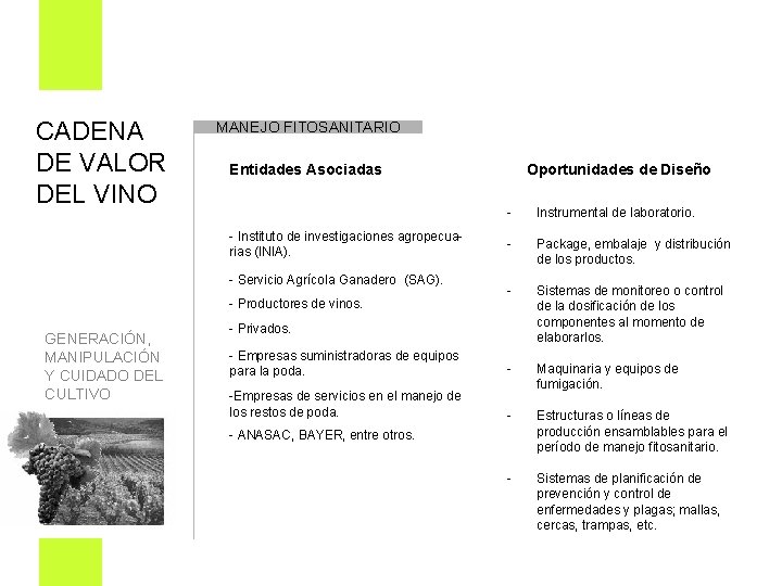 CADENA DE VALOR DEL VINO MANEJO FITOSANITARIO Entidades Asociadas - Instituto de investigaciones agropecua-