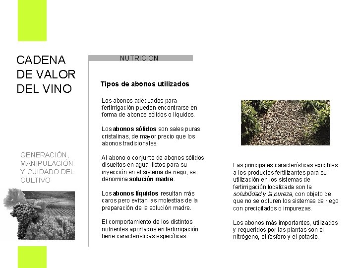 CADENA DE VALOR DEL VINO NUTRICION Tipos de abonos utilizados Los abonos adecuados para