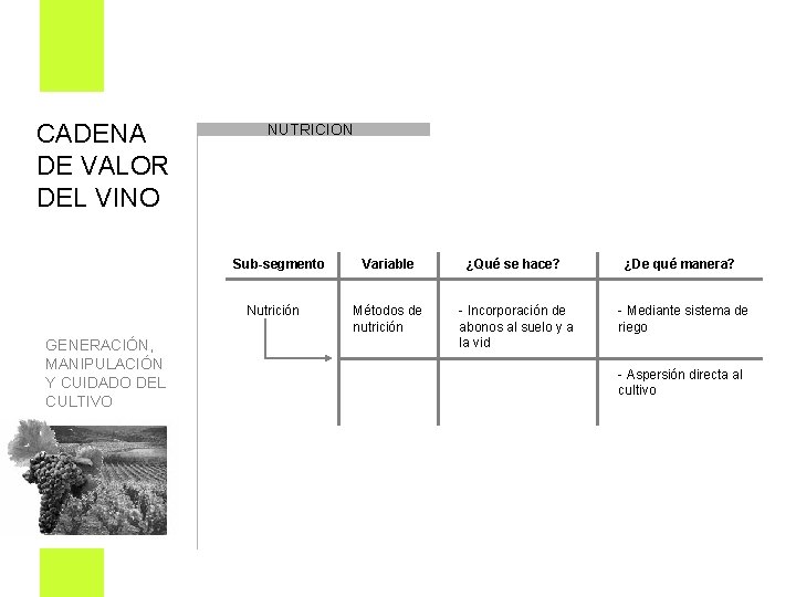 CADENA DE VALOR DEL VINO NUTRICION Sub-segmento Nutrición GENERACIÓN, MANIPULACIÓN Y CUIDADO DEL CULTIVO