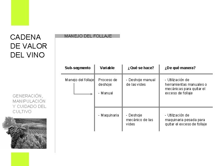 CADENA DE VALOR DEL VINO MANEJO DEL FOLLAJE Sub-segmento Variable Manejo del follaje Proceso