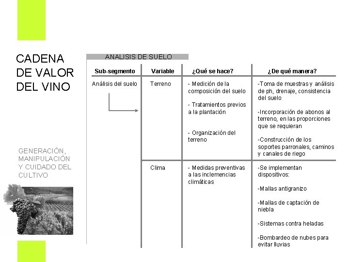 CADENA DE VALOR DEL VINO ANALISIS DE SUELO Sub-segmento Análisis del suelo Variable Terreno