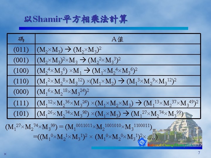 Shamir A 011 001 100 M 2m 32m