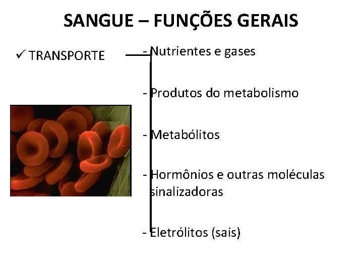 SANGUE – FUNÇÕES GERAIS ü TRANSPORTE - Nutrientes e gases - Produtos do metabolismo