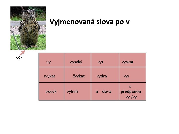Vyjmenovaná slova po v výr vy zvykat povyk vysoký žvýkat výheň výt výskat vydra