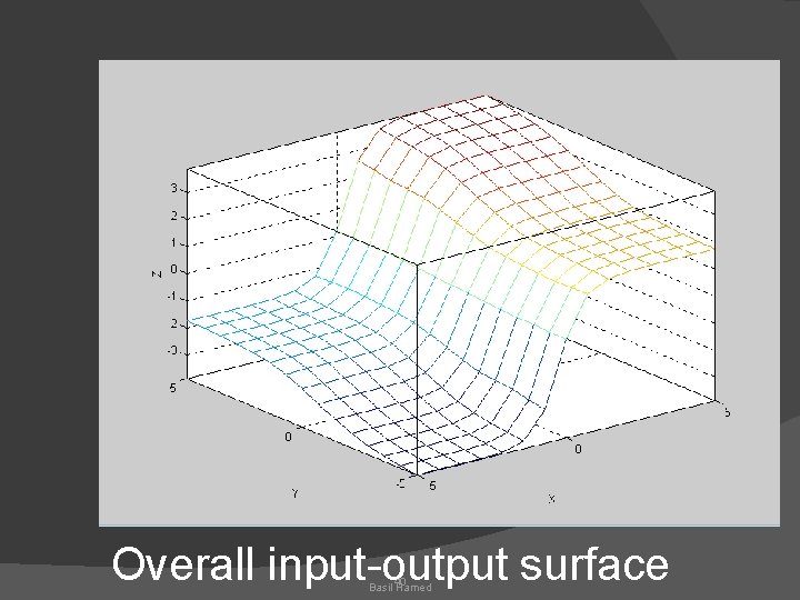 Overall input-output surface Basil 40 Hamed 