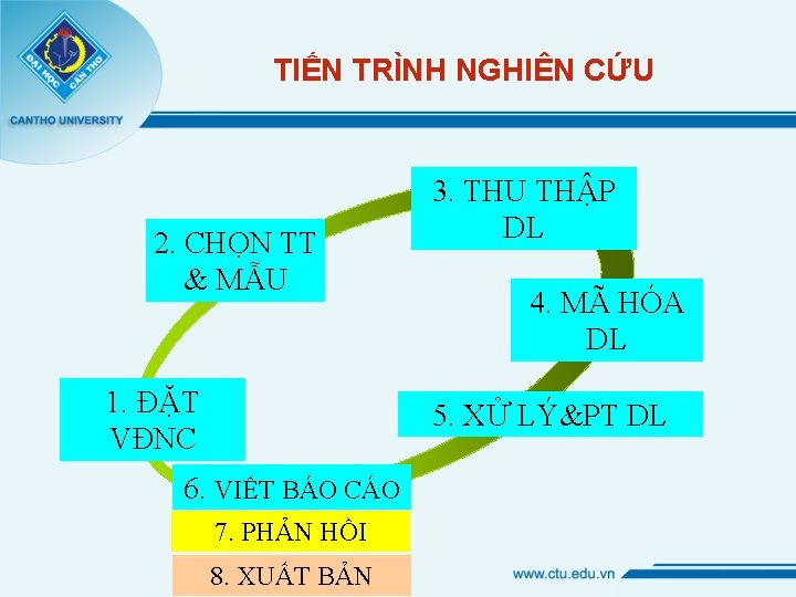 TIẾN TRÌNH NGHIÊN CỨU 2. CHỌN TT & MẪU 1. ĐẶT VĐNC 3. THU