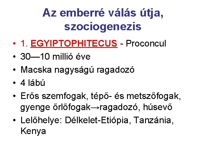 Az emberré válás útja, szociogenezis • • • 1. EGYIPTOPHITECUS - Proconcul 30— 10