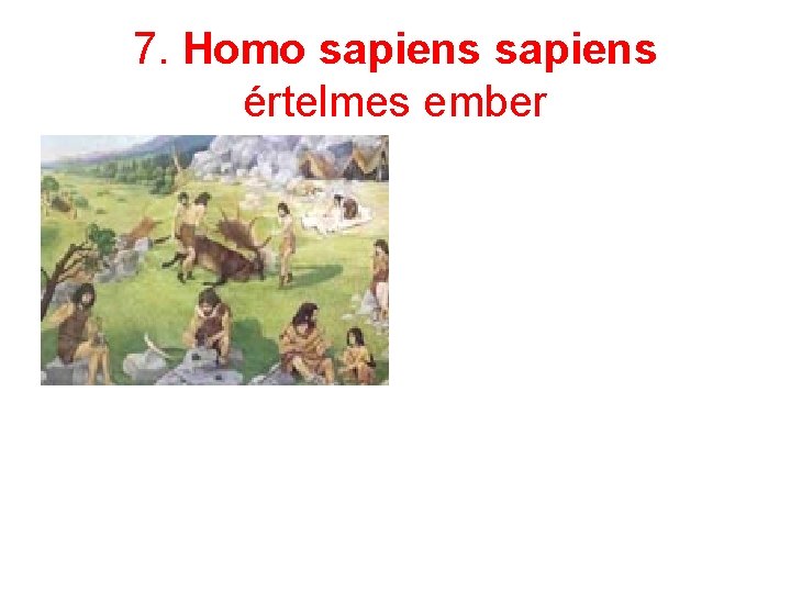 7. Homo sapiens értelmes ember 