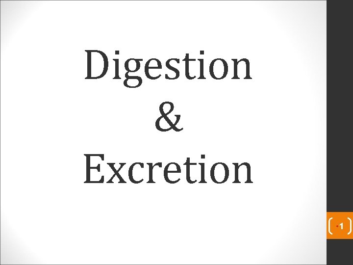Digestion & Excretion • 1 Digestion & Excretion • 1