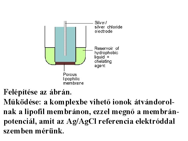 Ionszelektív elektródok Felépítése az ábrán. Működése: a komplexbe vihető ionok átvándorolnak a lipofil membránon,