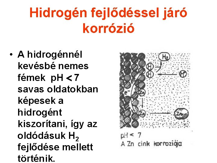 Hidrogén fejlődéssel járó korrózió • A hidrogénnél kevésbé nemes fémek p. H 7 savas