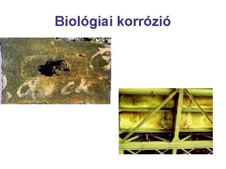 Biológiai korrózió 