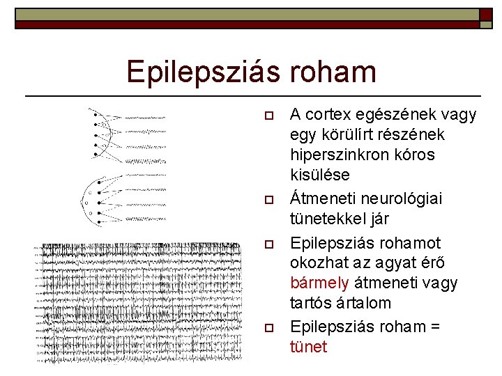 Epilepsziás roham o o A cortex egészének vagy egy körülírt részének hiperszinkron kóros kisülése