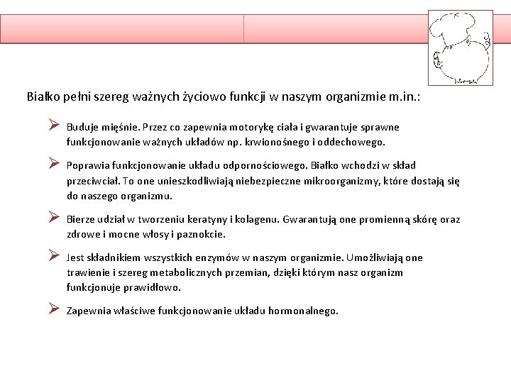 Białko pełni szereg ważnych życiowo funkcji w naszym organizmie m. in. : Ø Buduje