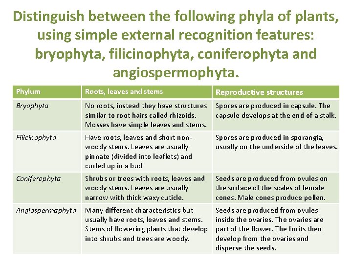 Distinguish between the following phyla of plants, using simple external recognition features: bryophyta, filicinophyta, Distinguish between the following phyla of plants, using simple external recognition features: bryophyta, filicinophyta,