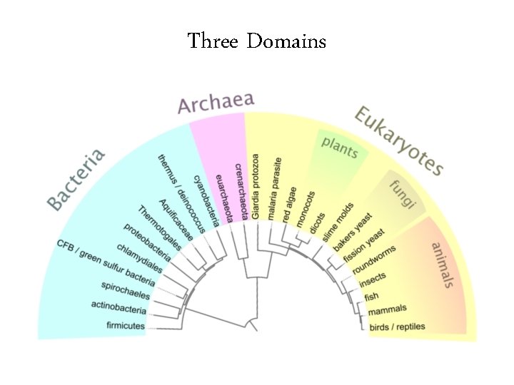 Three Domains Three Domains